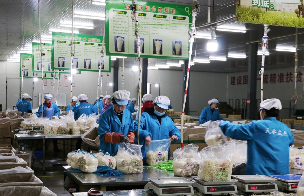 配圖 (4).jpg 配圖 (4).jpg